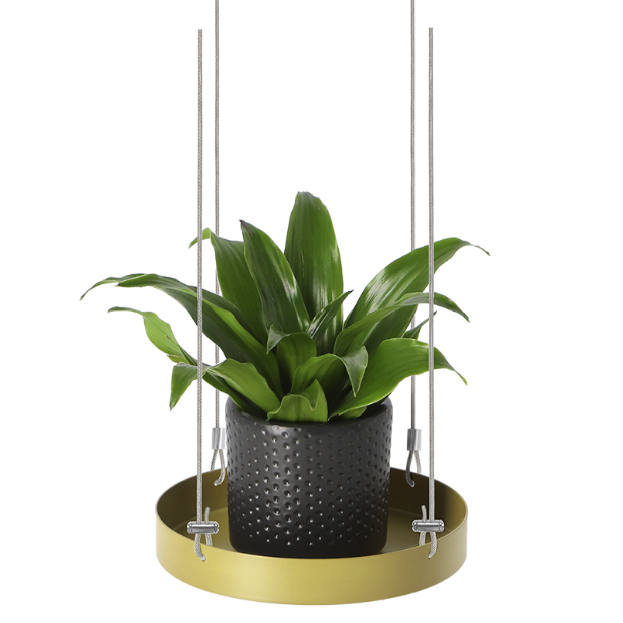 Esschert Design Rond Gouden Plantenplateau S