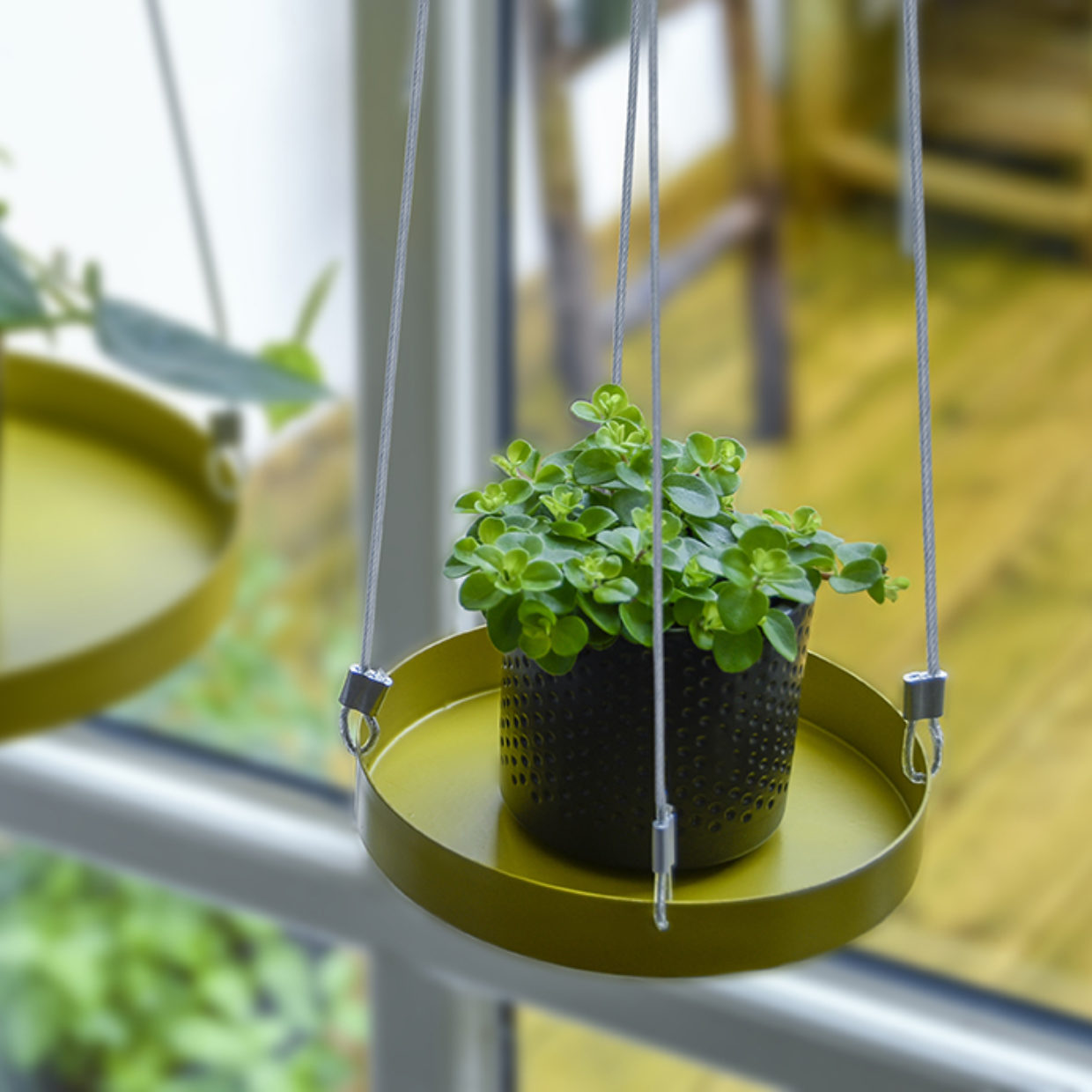 Esschert Design Rond Gouden Plantenplateau S