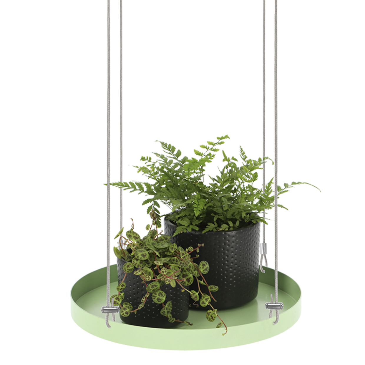 Esschert Design Rond Groen Plantenplateau L