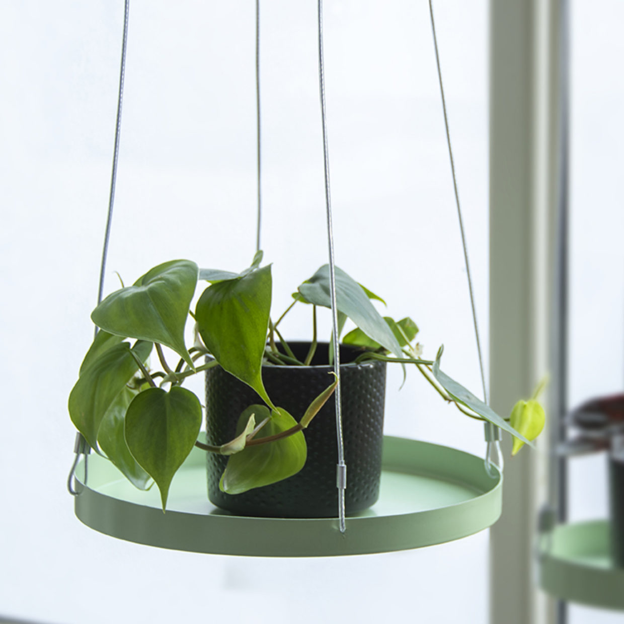 Esschert Design Rond Groen Plantenplateau L