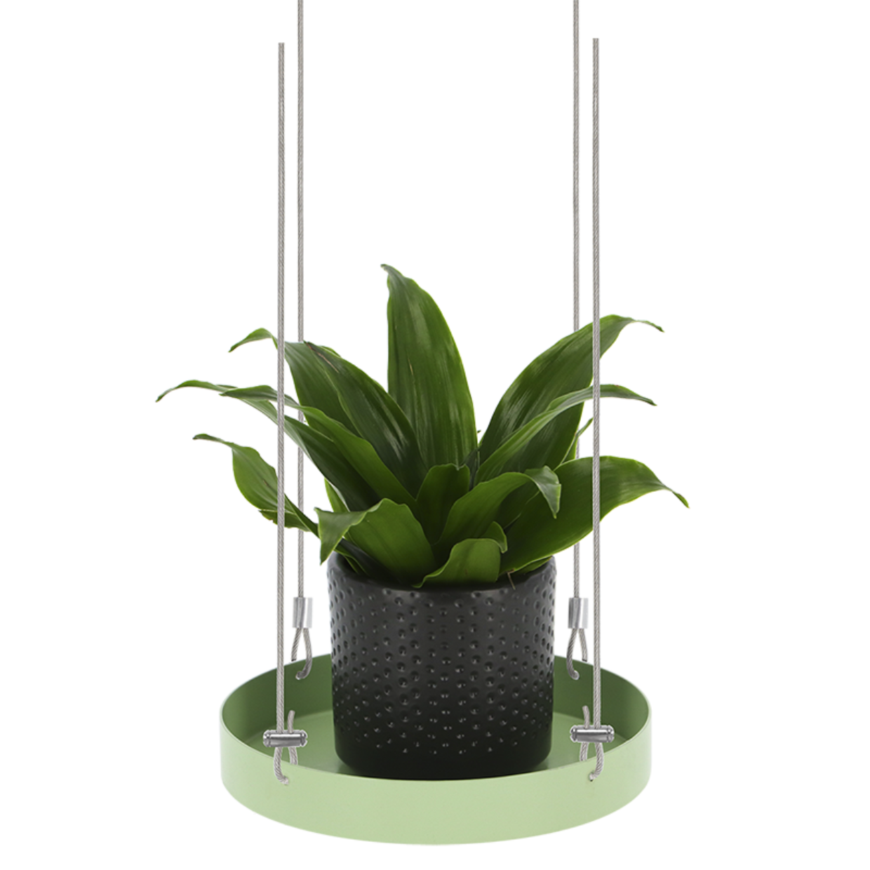 Esschert Design Rond Groen Plantenplateau S