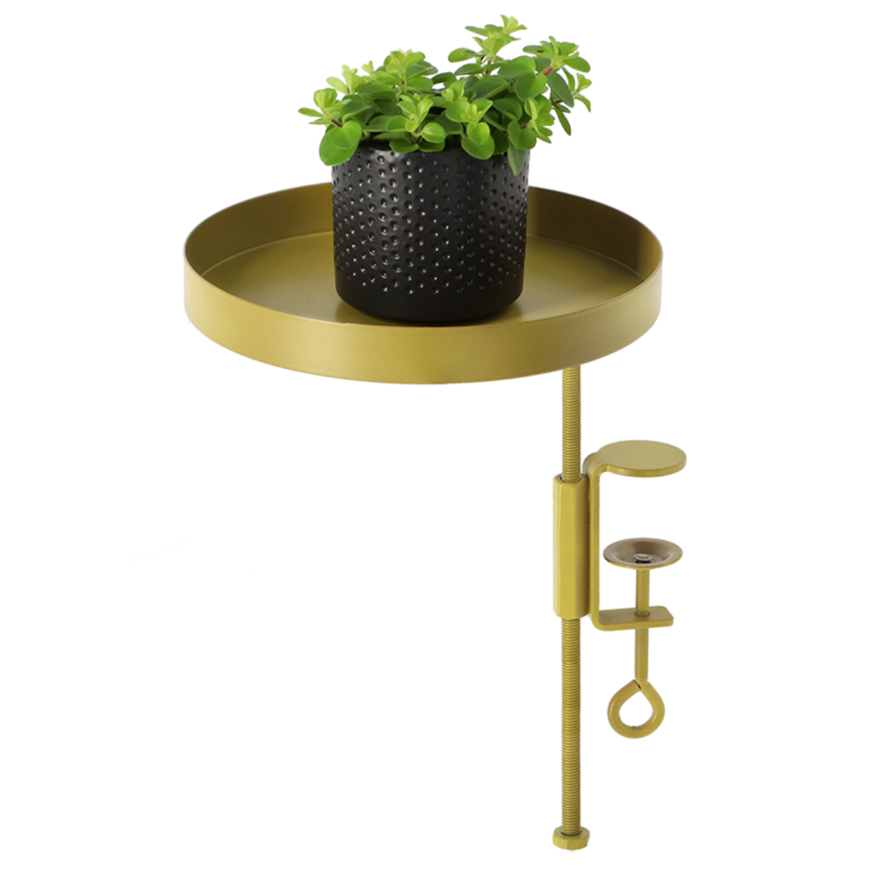 Esschert Design Ronde Gouden Vensterbankklem M