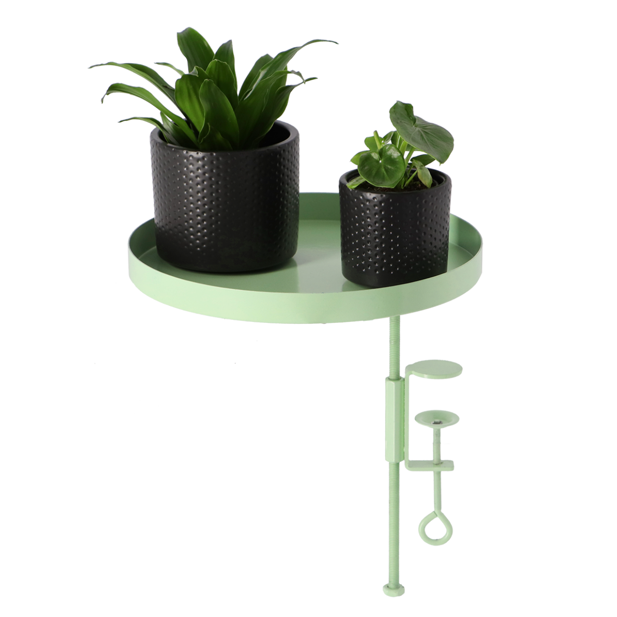 Esschert Design Ronde Groene Vensterbankklem L