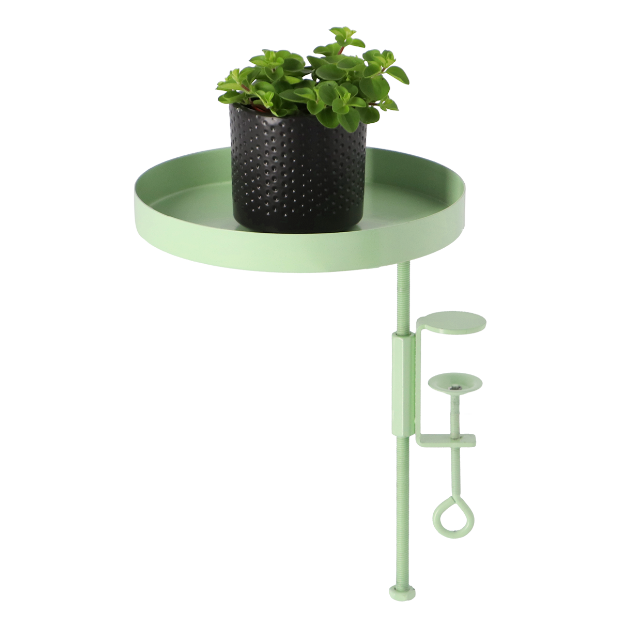 Esschert Design Ronde Groene Vensterbankklem M