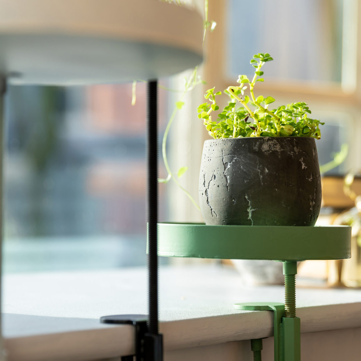 Esschert Design Ronde Groene Vensterbankklem S