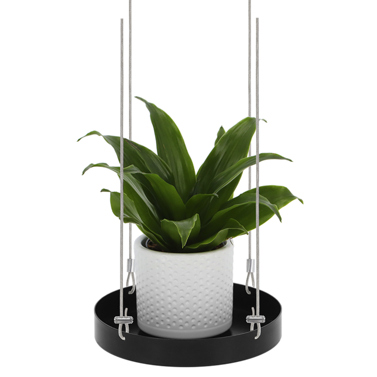 Esschert Design Ronde Hangende Plantenplateaus S