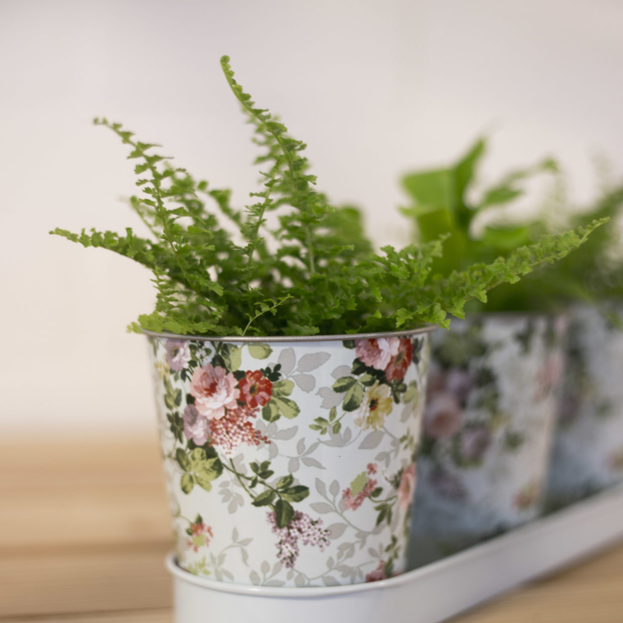 Esschert Design Roosprint 3 Potjes Op Tray