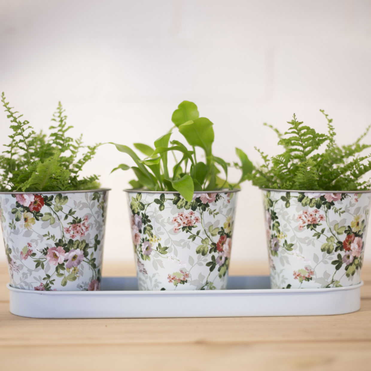 Esschert Design Roosprint 3 Potjes Op Tray