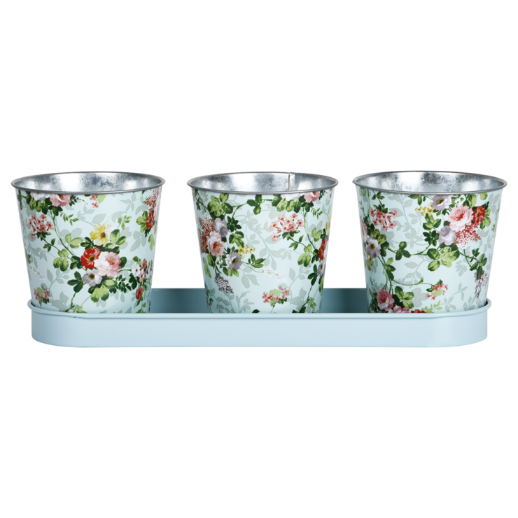 esschert design Roosprint 3 potjes op tray