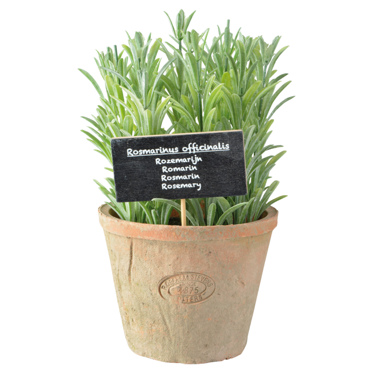 esschert design Rosemarijn in AT pot L