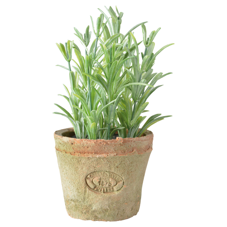 esschert design Rosemarijn in AT pot S