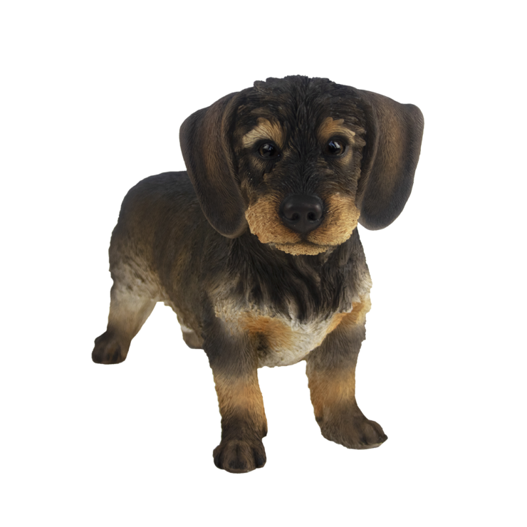 esschert design Ruwharige teckel