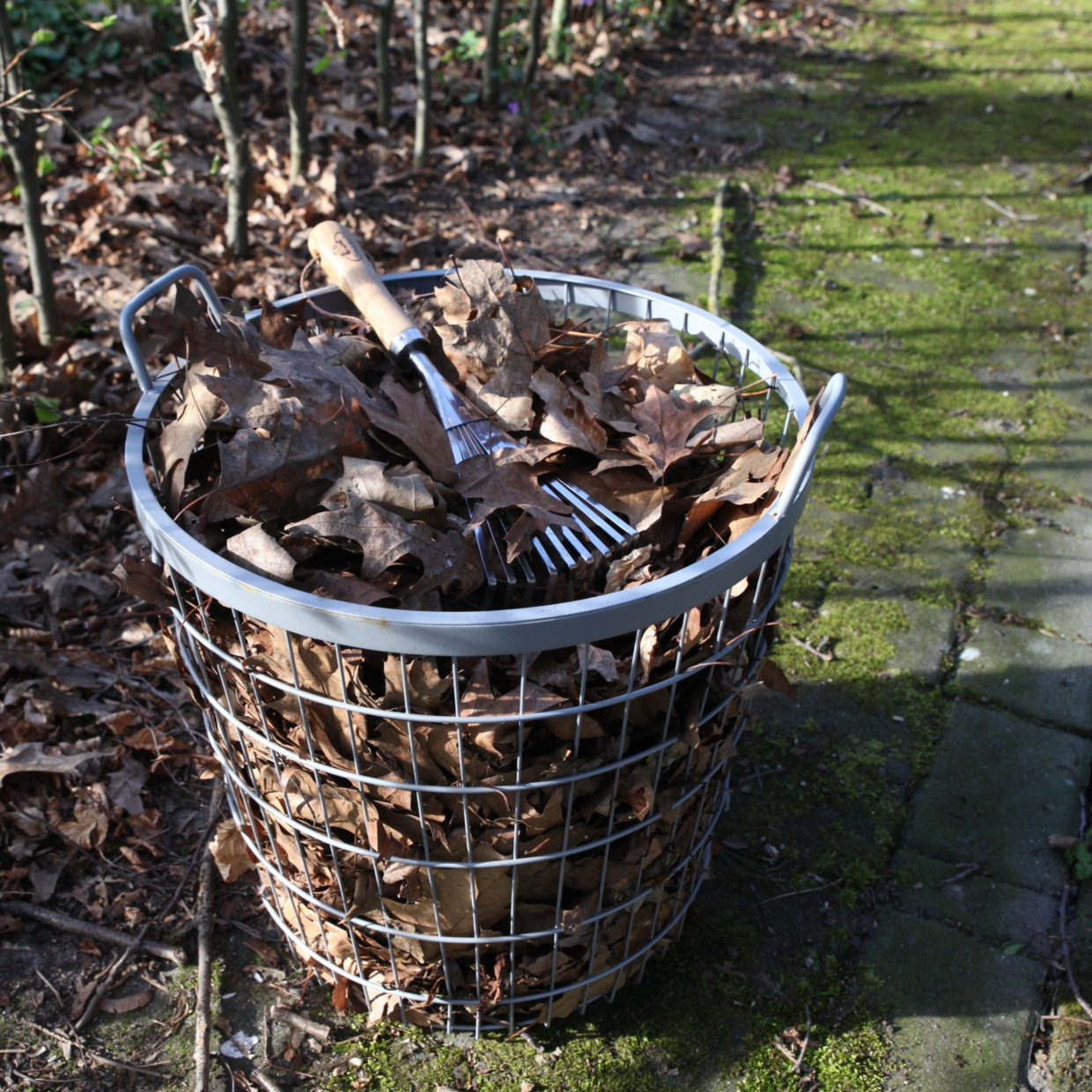 Esschert Design RVS Handbladhark