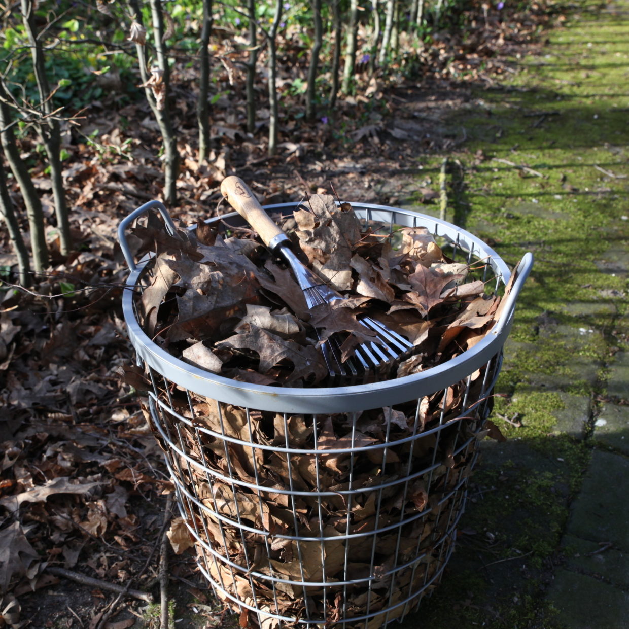 Esschert Design RVS Handbladhark