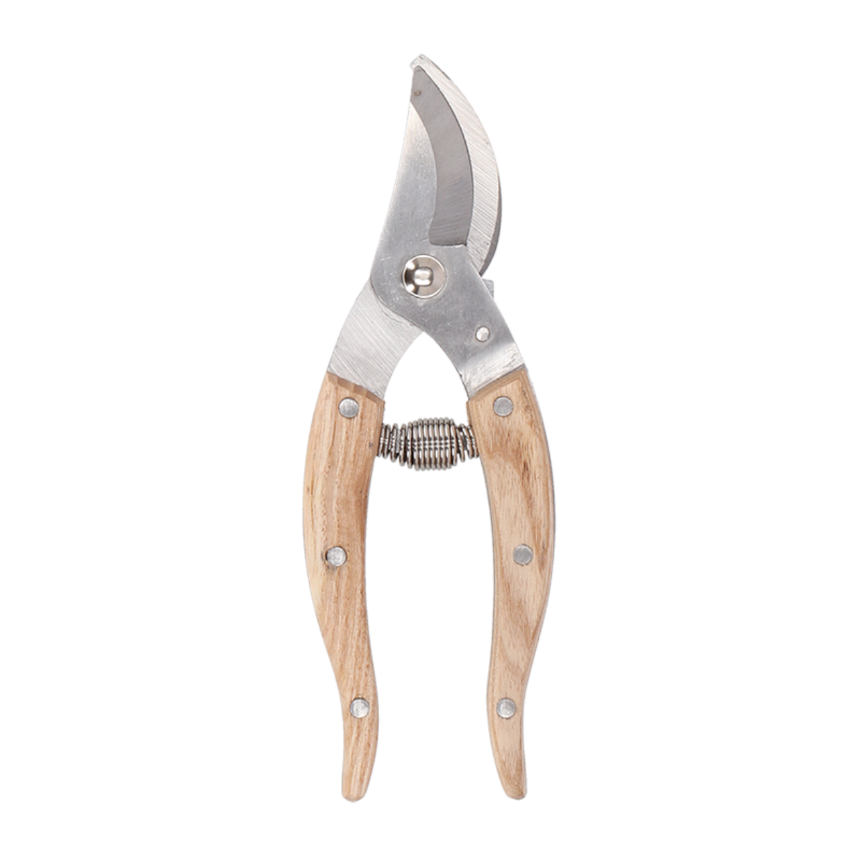 Esschert Design RVS Kamerplantensnoeischaar