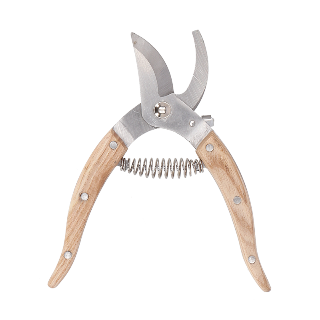 Esschert Design RVS Kamerplantensnoeischaar