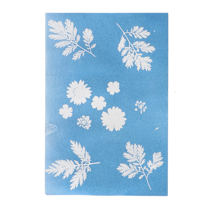 esschert design Solar fotopapier A4