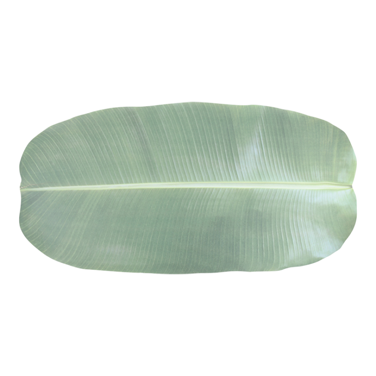 esschert design Tafelloper papier blad set/10