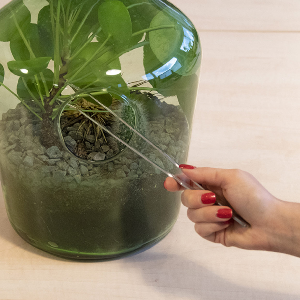 Esschert Design Terrarium-pincet