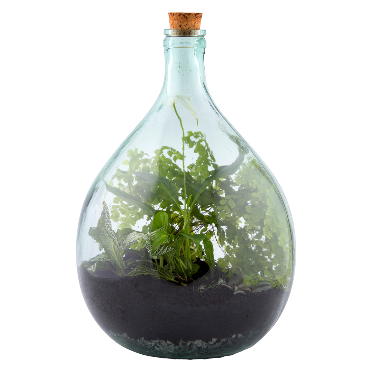Esschert Design Terrariumfles 15 Liter Set
