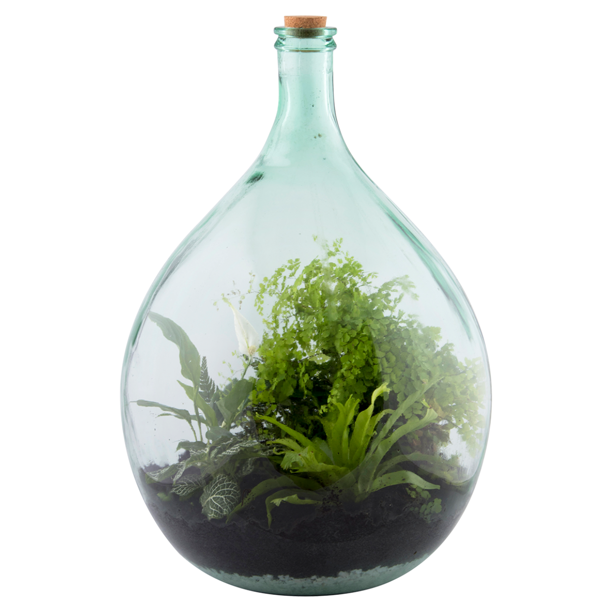 Esschert Design Terrariumfles 55 Liter Set