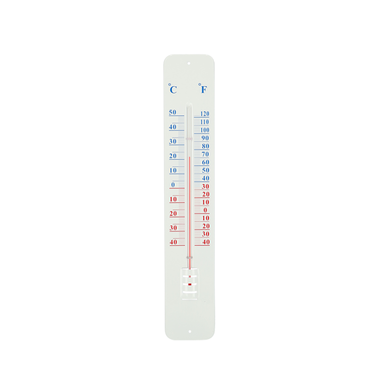 esschert design Thermometer op wandplaat