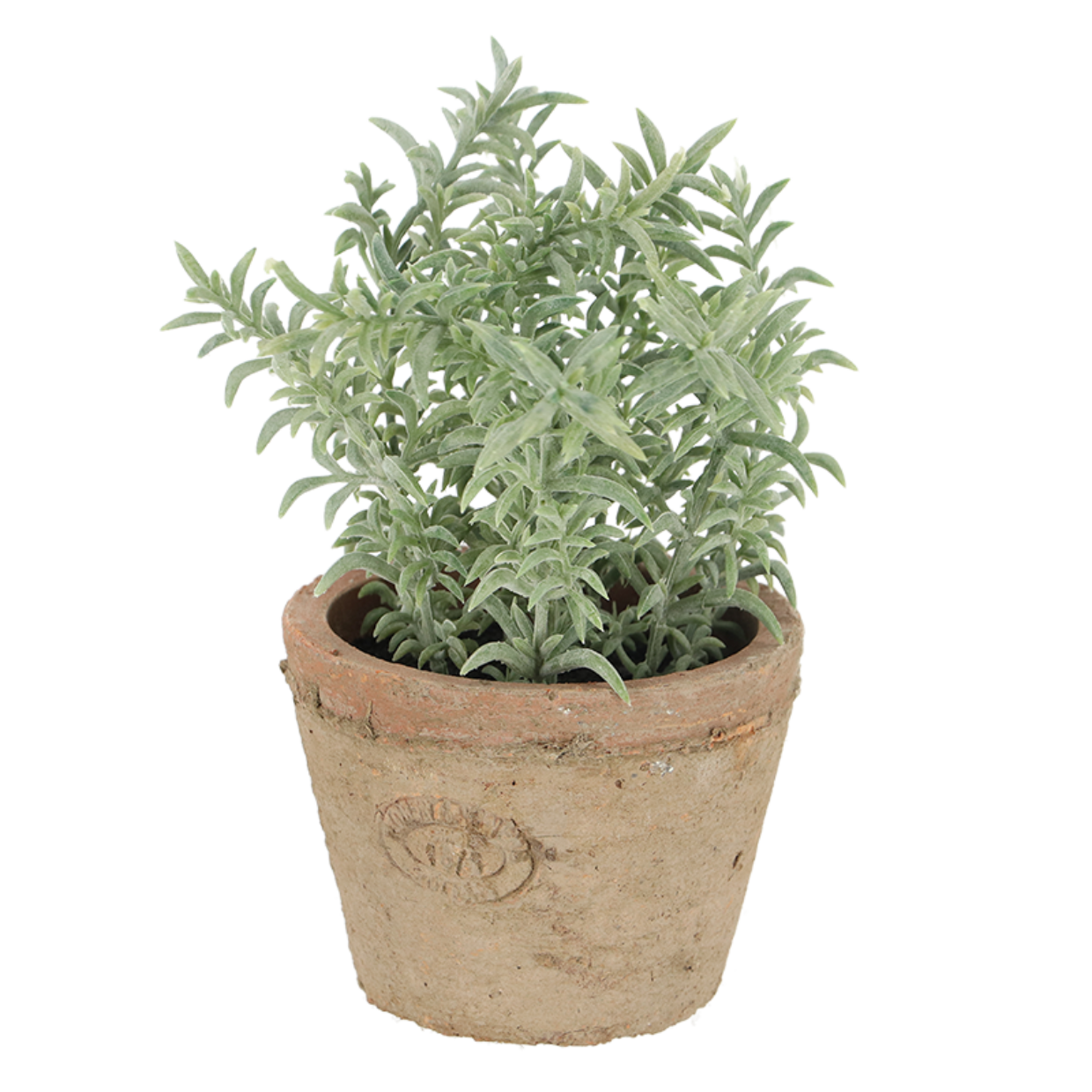 Esschert Design Tijm In AT Pot S