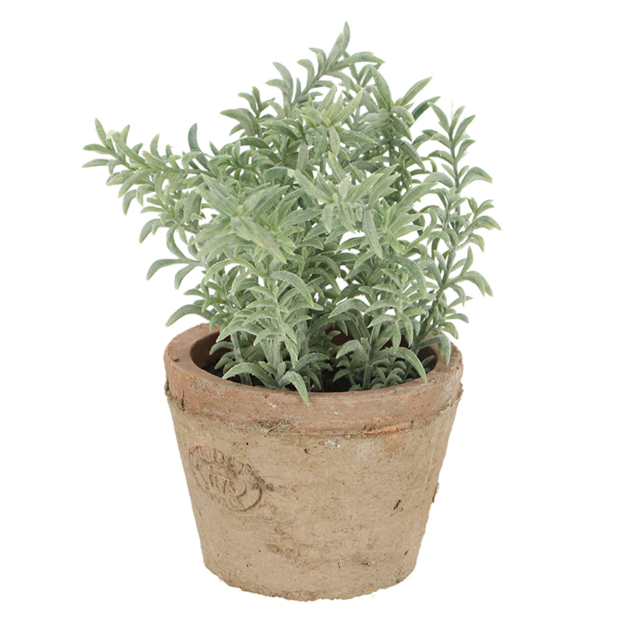 Esschert Design Tijm In AT Pot S