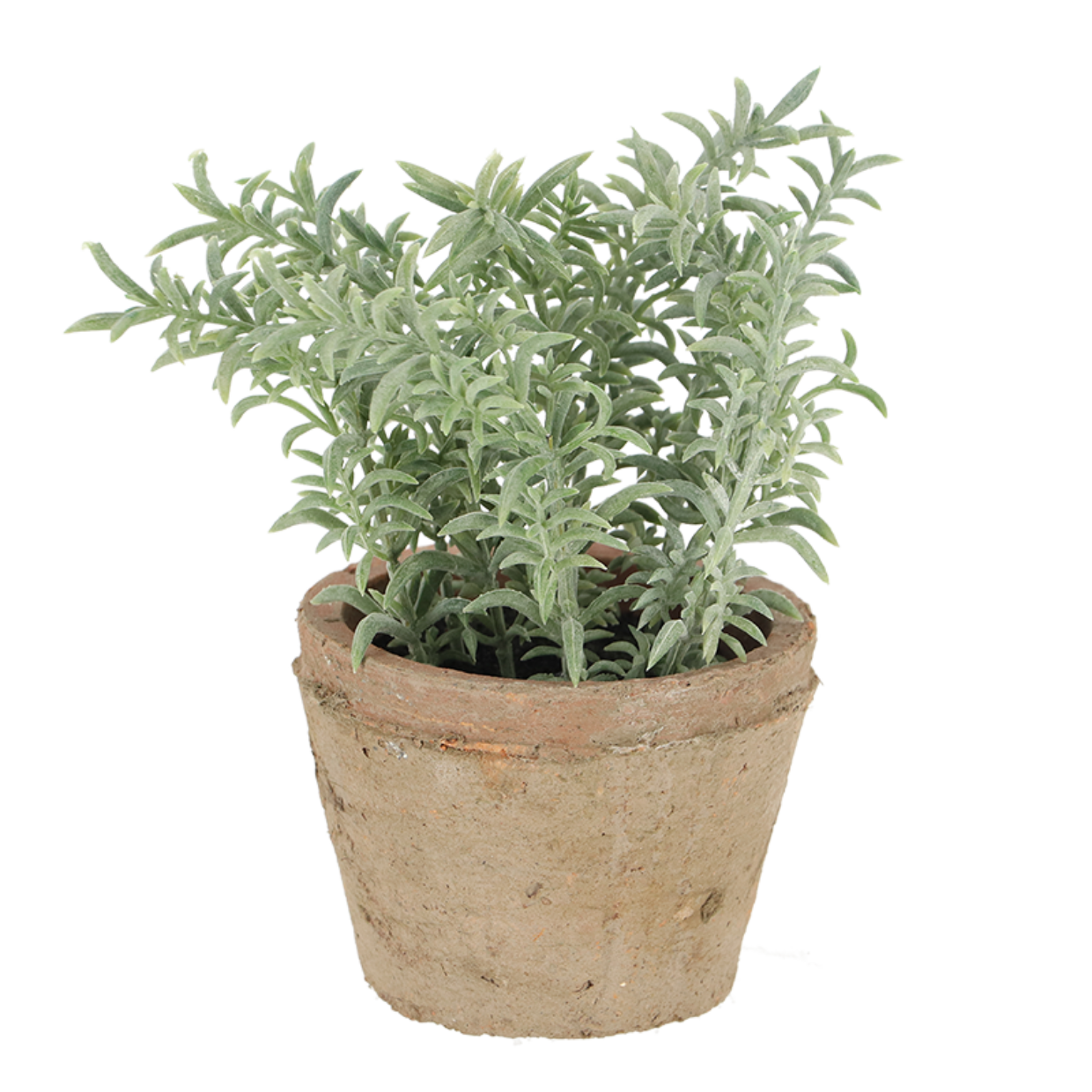 Esschert Design Tijm In AT Pot S