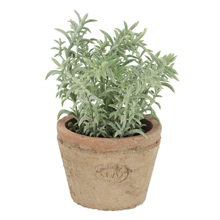 esschert design Tijm in AT pot S