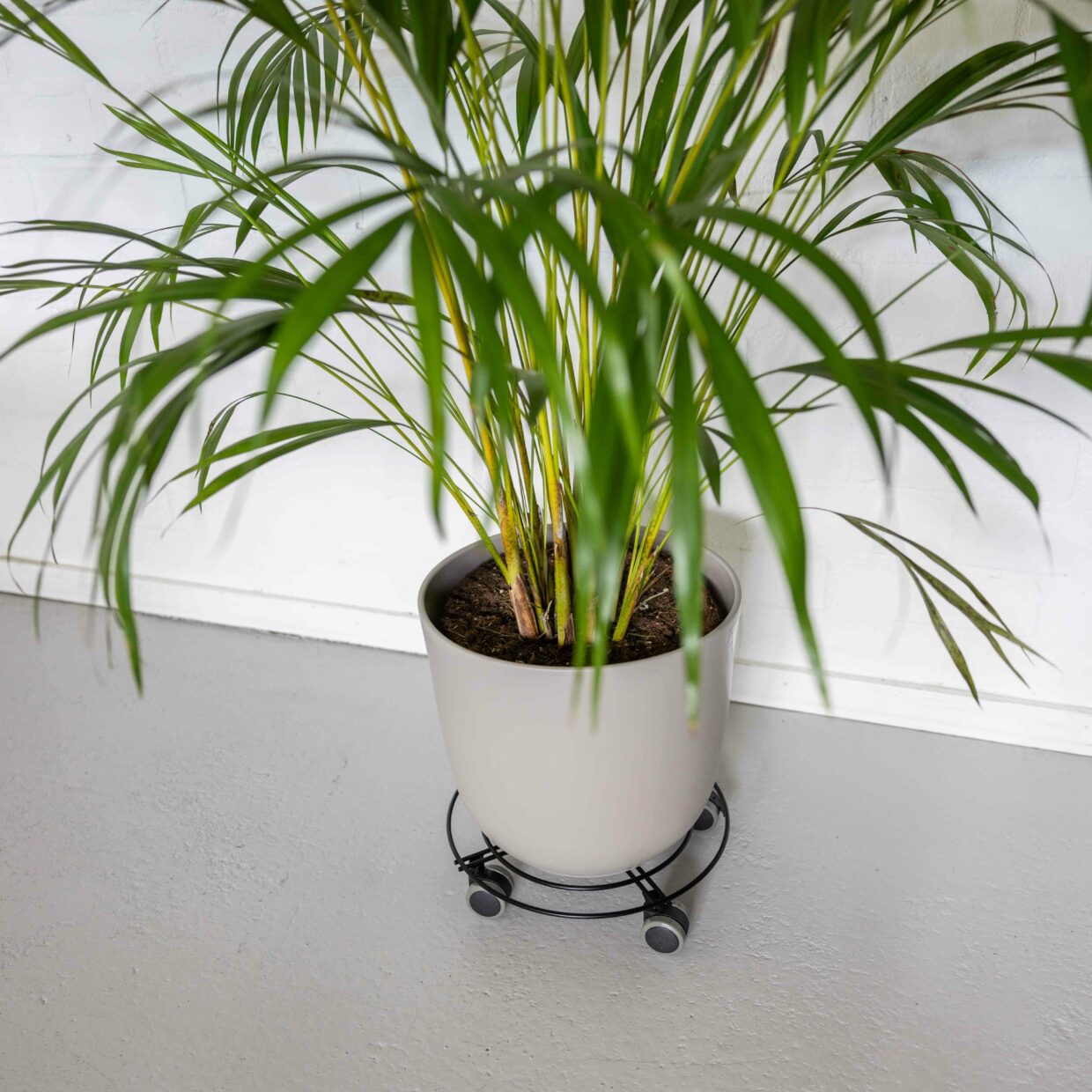 Esschert Design Trolley Metaal Rond Indoor S