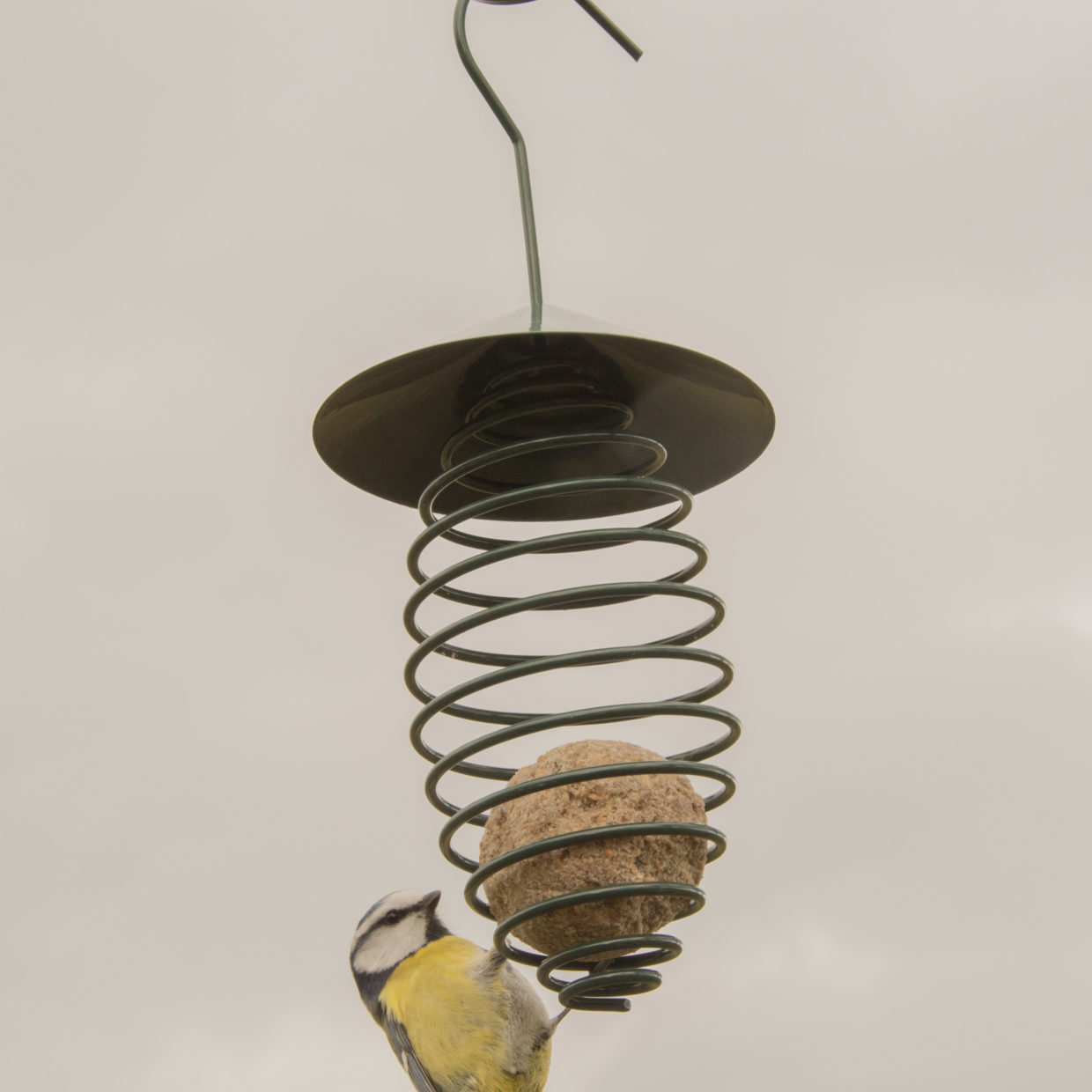 Esschert Design Voederveer Dakje Donkergroen