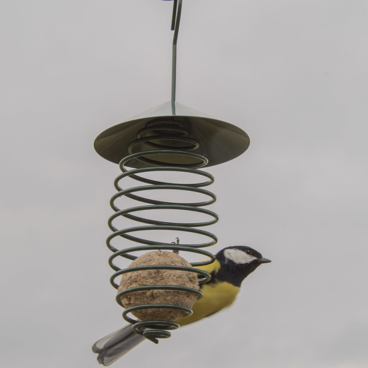 Esschert Design Voederveer Dakje Donkergroen