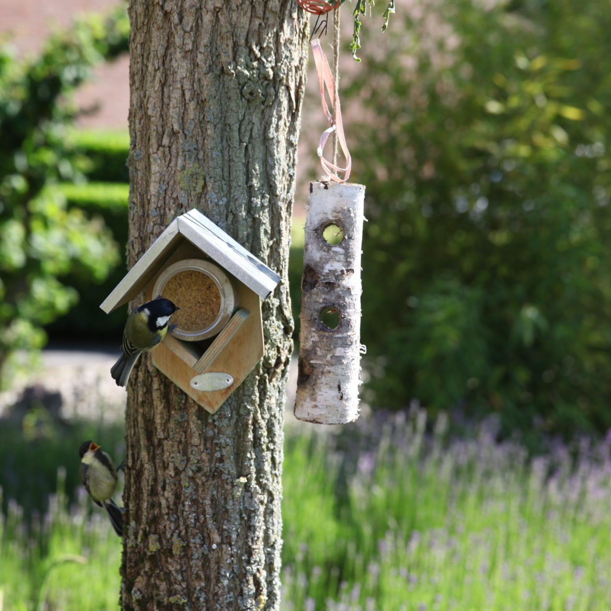 Esschert Design Vogelpindakaas Met Stukjes Noot