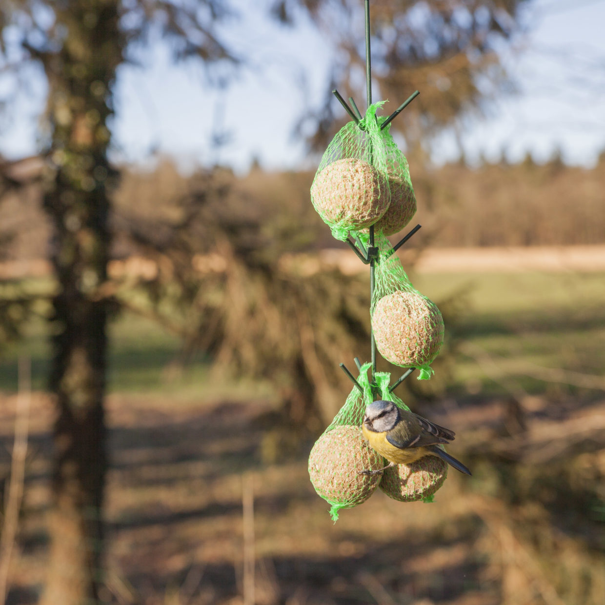 Esschert Design Vogelvoederhaak Dakje Donkergroen