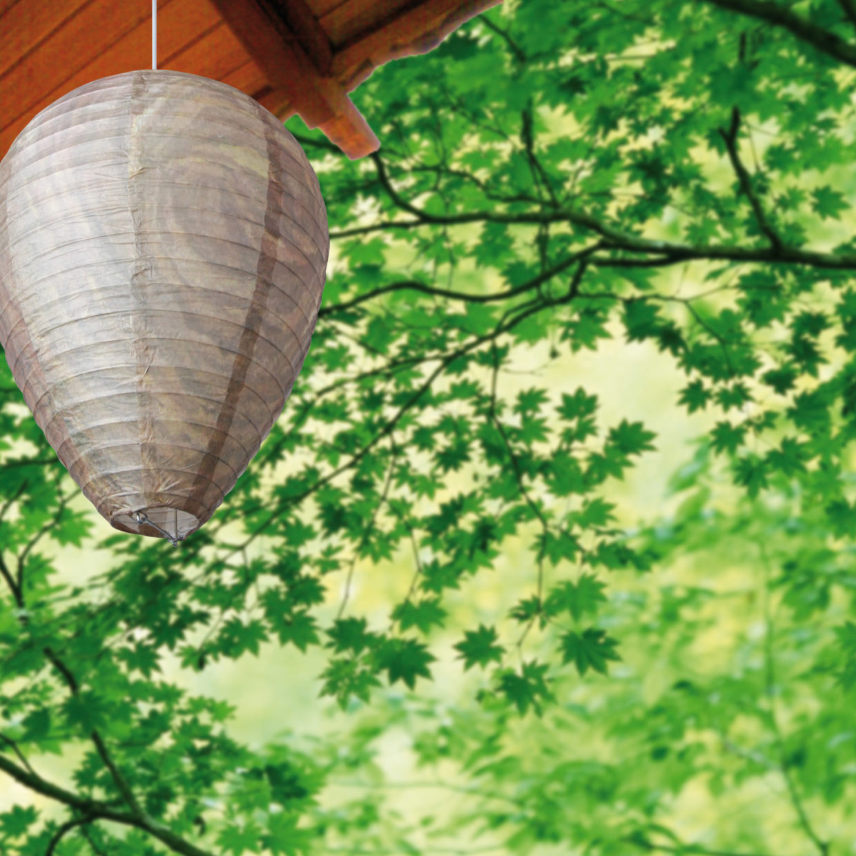 Esschert Design Wespenverschrikker