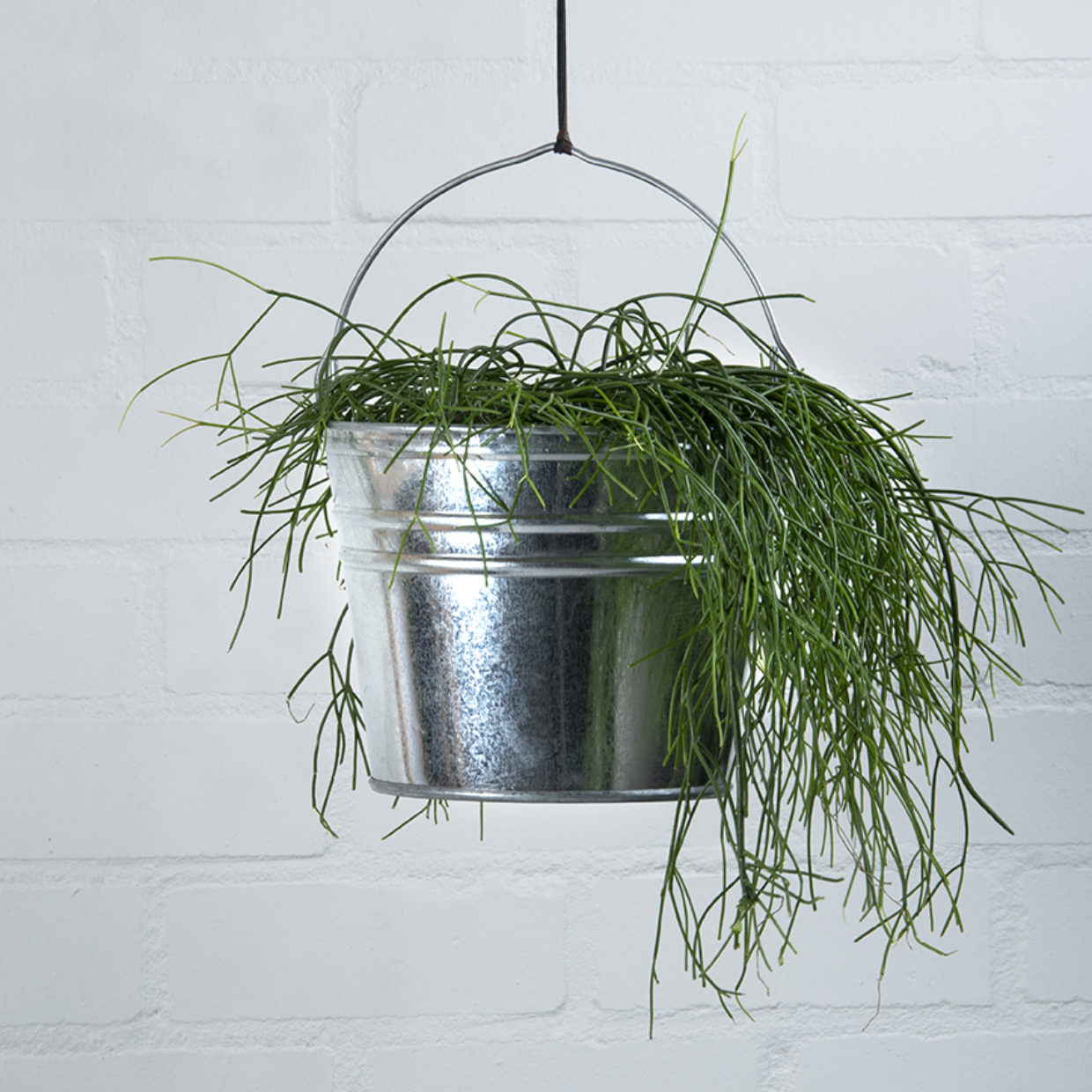 Esschert Design Zinken Emmer M