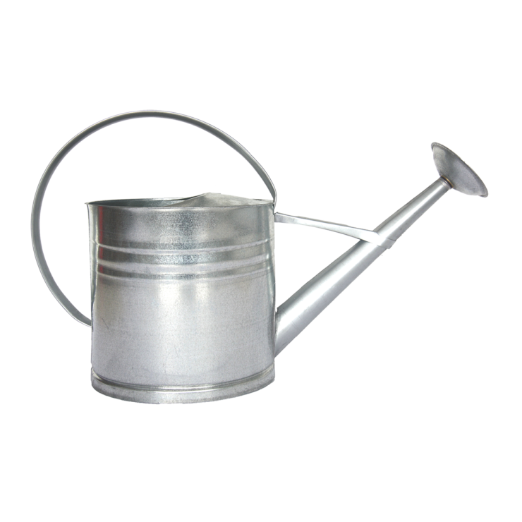 esschert design Zinken gieter L