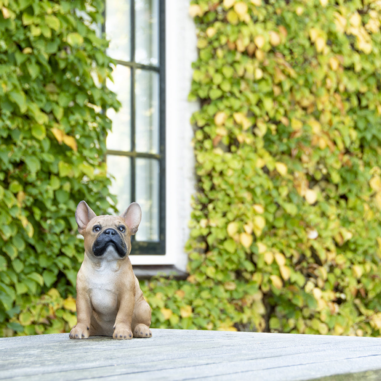 Esschert Design Zittende Franse Bulldog