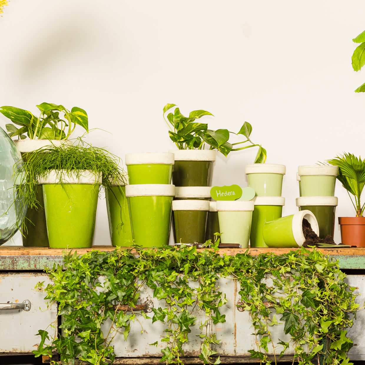 Esschert Design Groentinten Long Tom Bloempot Assorti Van Drie