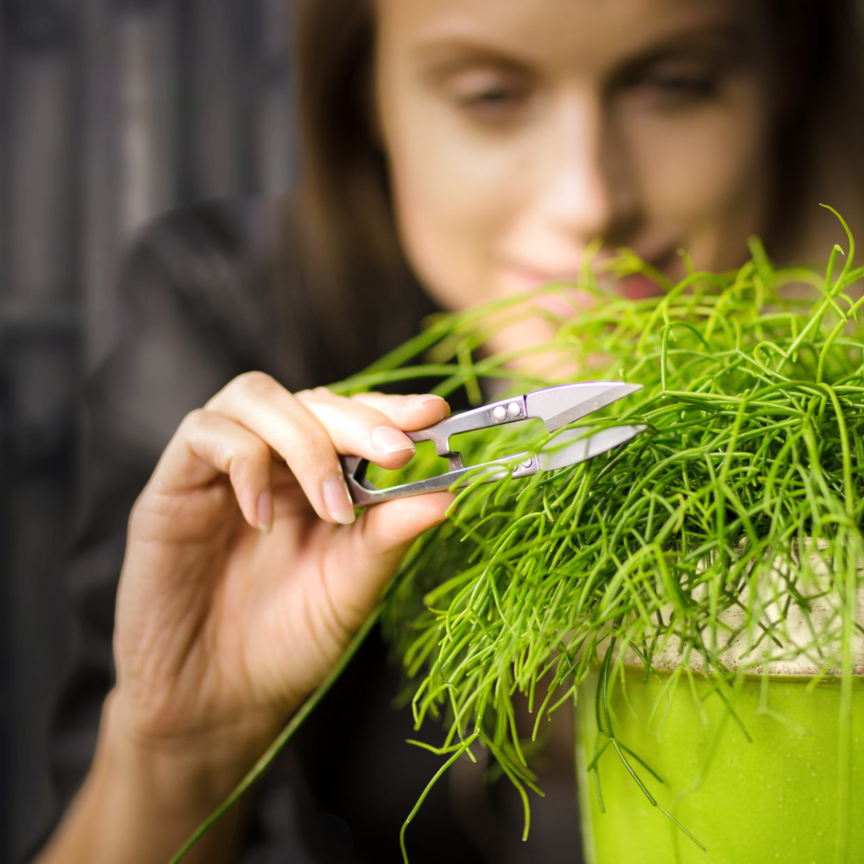 Esschert Design Groentinten Long Tom Bloempot Assorti Van Drie