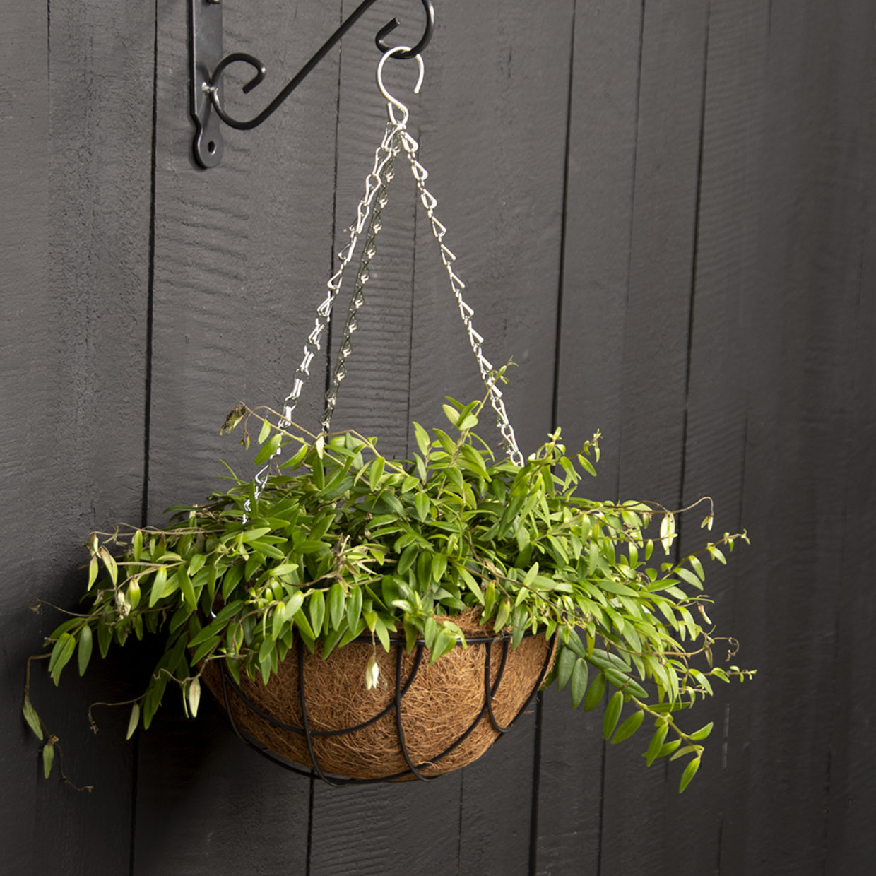 Esschert Design Hanging Basket Kettingen Set Van Drie