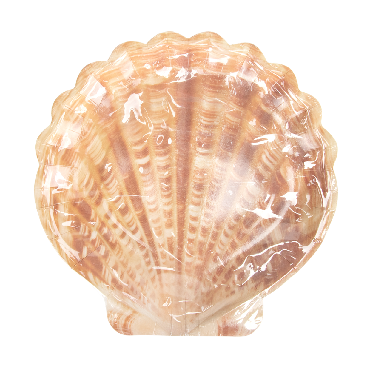 Esschert Design Papieren Borden Schelpenvorm Set/10