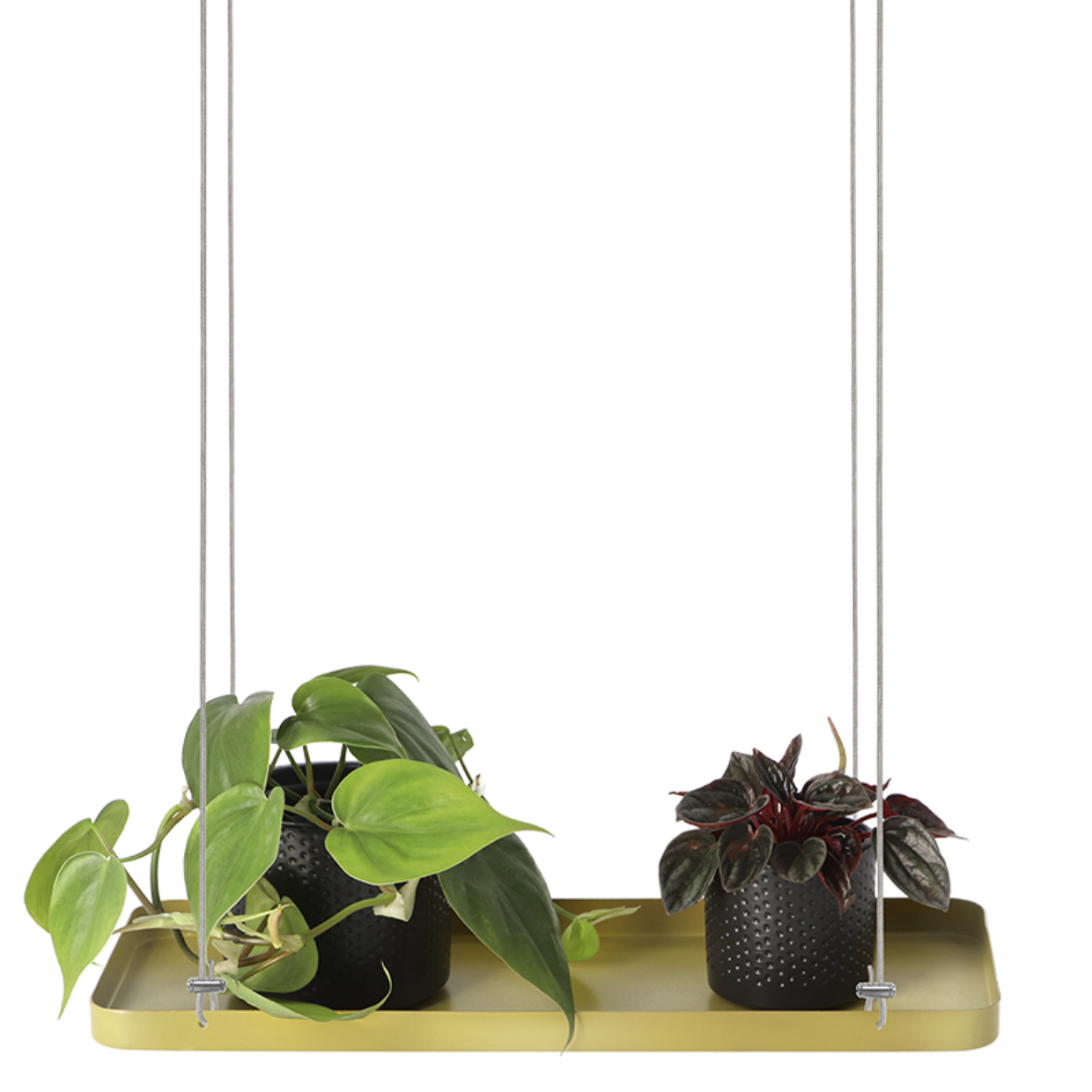 Esschert Design Rechthoekig Gouden Plantenplateau S