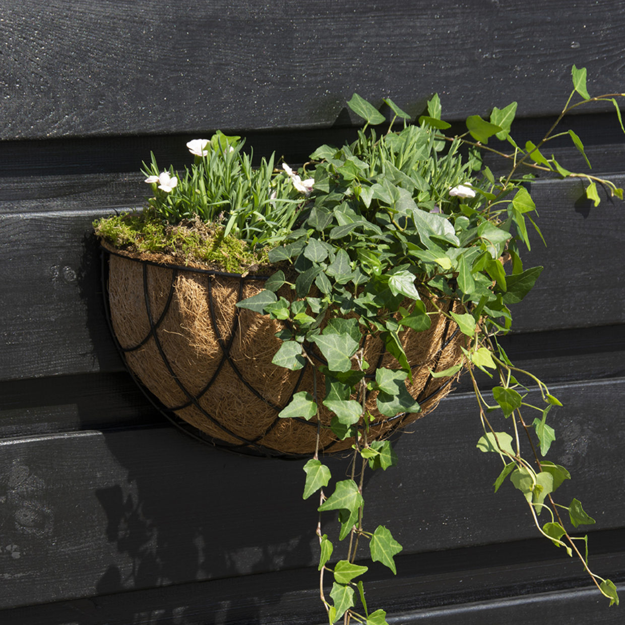 Esschert Design Voorgevormde Kokosinzet Halfrond 35cm