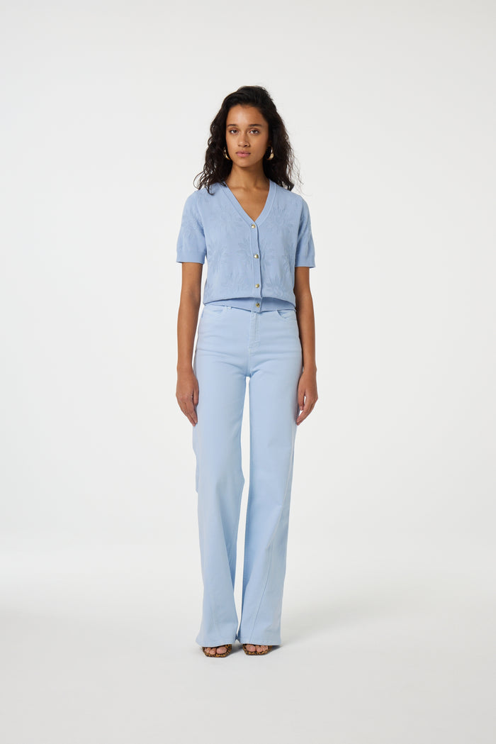 fab by fabienne chapot Bonnie Wide Leg Jeans Pool Blue