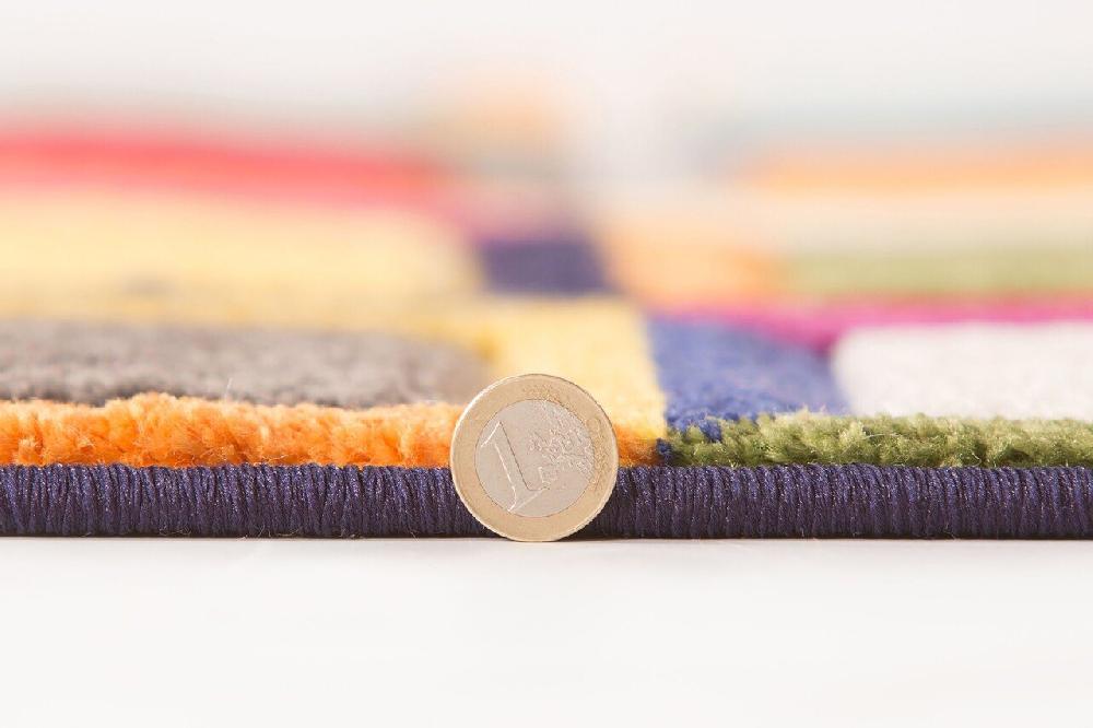 Flycarpets Kleurrijk Vloerkleed - Waltz Multi