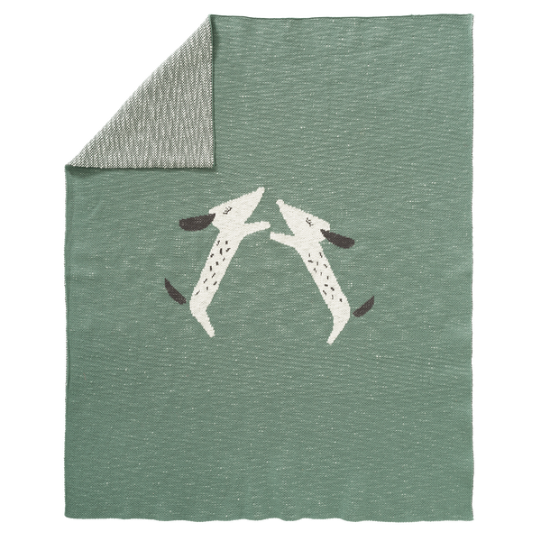 fresk Gebreide deken Dachsy