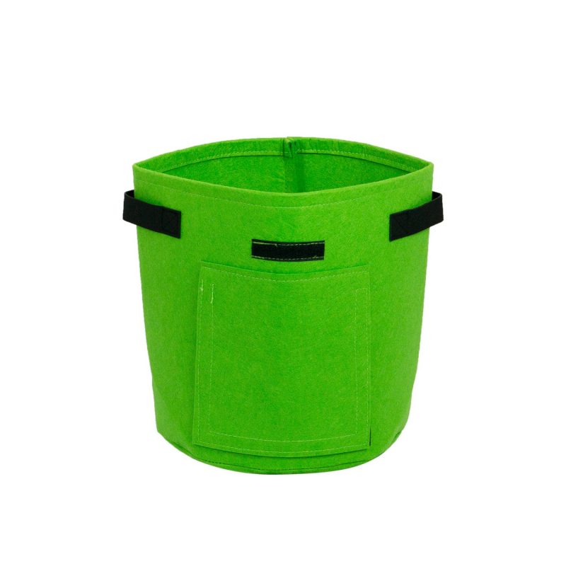 furniteam Felt Potato Planter Color: Green