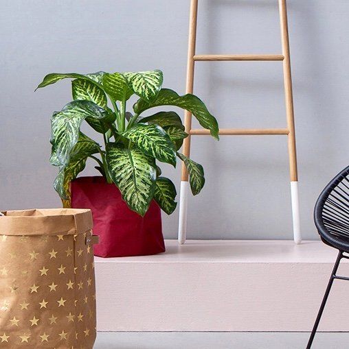 Furniteam Paper Bag Large